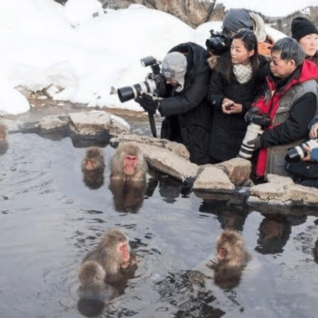 Private Nagano Day Trip: Snow Monkeys & Historic Temples - Final Thoughts