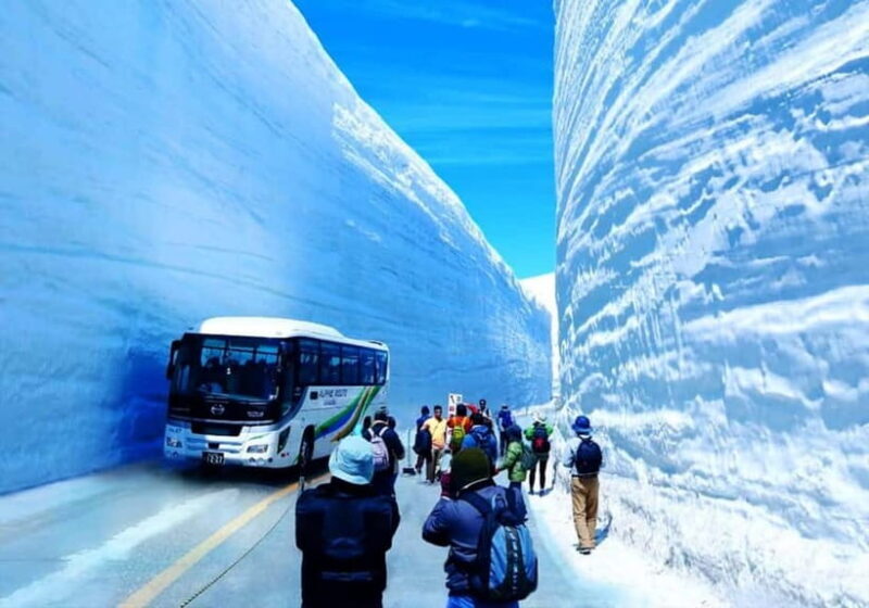 Private Nagoya & Shirakawa-go w/ English Driver - Who Will Appreciate This Tour?