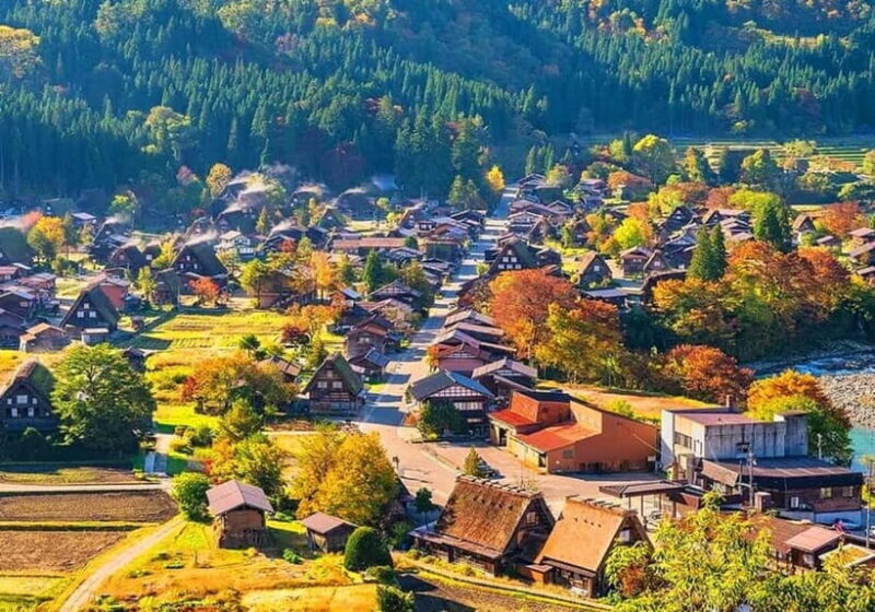 Private Nagoya & Shirakawa-go w/ English Driver - Introduction: A Personalized Japan Day Out