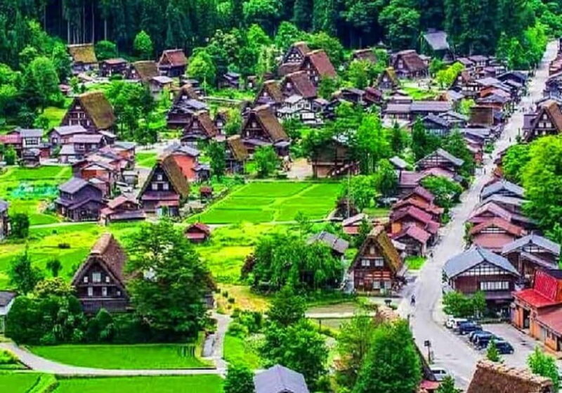 Private Nagoya & Shirakawa-go w/ English Driver - What You Can Expect from the Tour