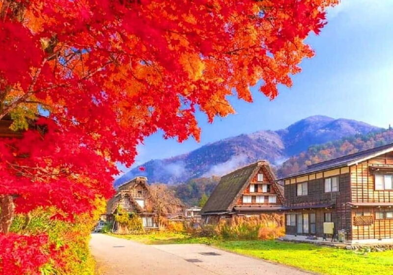 Private Nagoya & Shirakawa-go w/ English Driver - FAQ