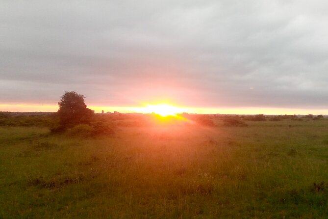 Private Nairobi Day Tour. NN Park, Giraffe Center, Bomas of Kenya - Good To Know