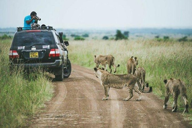 Private Nairobi Tours: 6.a.m-1.pm Nairobi Park/elephant& Giraffe Sanctuaries - The Sum Up