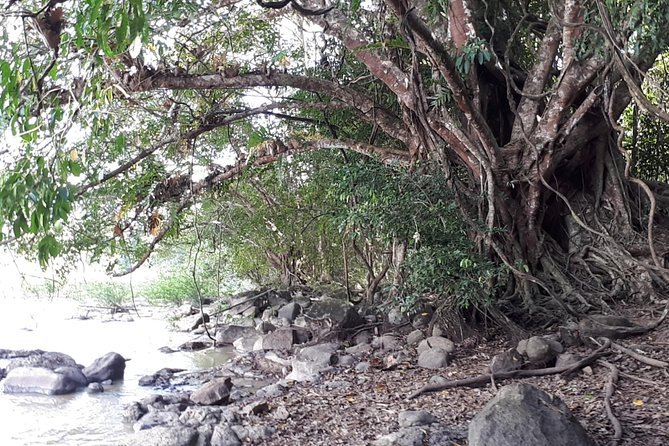 Private Nam Cat Tien National Park 2 Days 1 Night - Wildlife and Nature Experiences