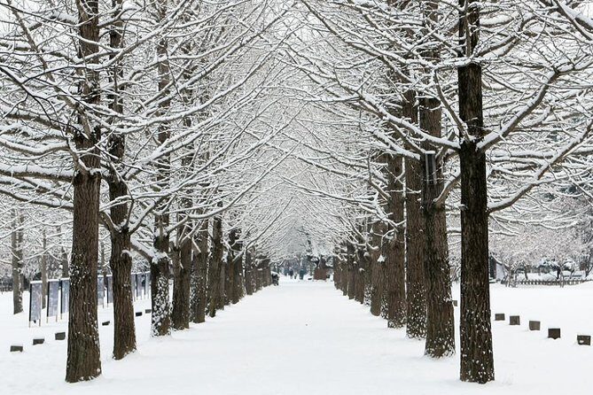 Private Nami Island, Elysian Ski and garden of morning calm Tour - What Makes This Tour Stand Out