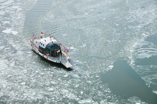 Private Nami Island, Elysian Ski and garden of morning calm Tour - Who Would Love This Tour?