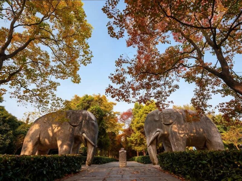 Private Nanjing Day Tour from Shanghai by Bullet Train - Visiting the Porcelain Tower: A Medieval Marvel