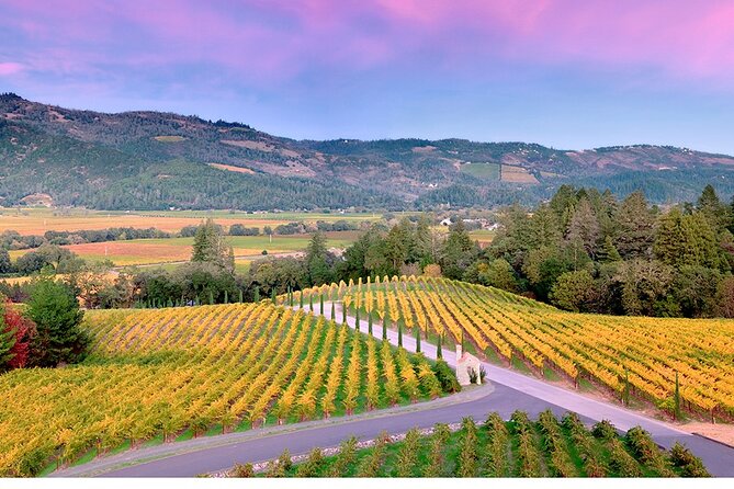 Private Napa Wine Tour Up To 6 Guests - Booking Details