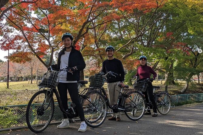 Private Nara E-Bike - Family Tour With Lunch - Tour Highlights