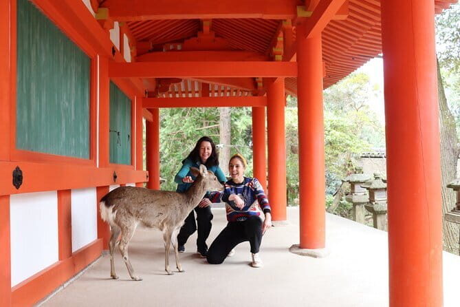 Private Nara Tour and Sake Tasting (Departing from Kyoto/Nara) - Good To Know