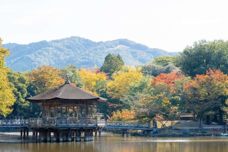 Private Nara Tour: Temples, Deer, and Photo Spots - What the Tour Includes and Excludes  