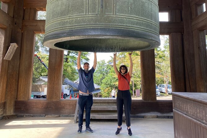 Private Nara Tour With Government Licensed Guide & Vehicle (Osaka Departure) - Itinerary Highlights