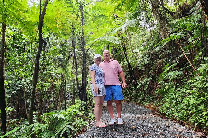 Private National Rainforest Creeks Ponds and Natural Slides Tour - Tour Overview