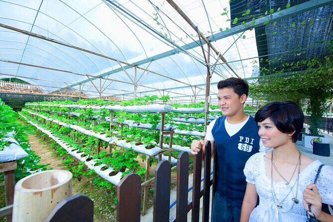 Private Nature Trip to Cameron Highlands from Kuala Lumpur - Considerations and Tips for Travelers  