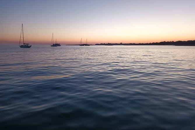 Private Nautical Excursion With Professional Skipper in Palma - Contact and Pricing Information