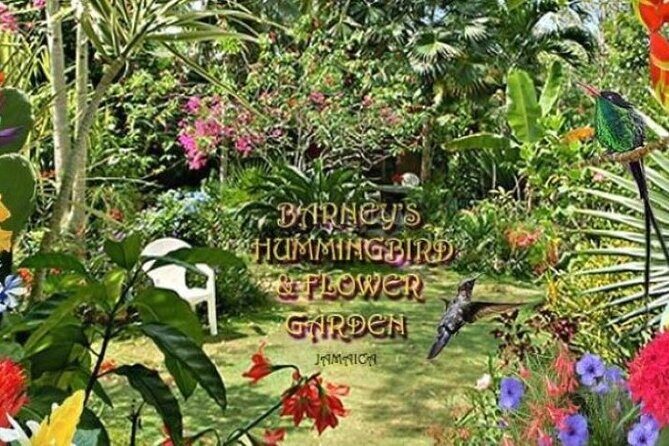 Private Negril Highlights Tour - Transportation and Flexibility