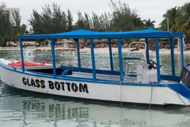 Private Negril Highlights Tour - Final Thoughts on Value and Suitability