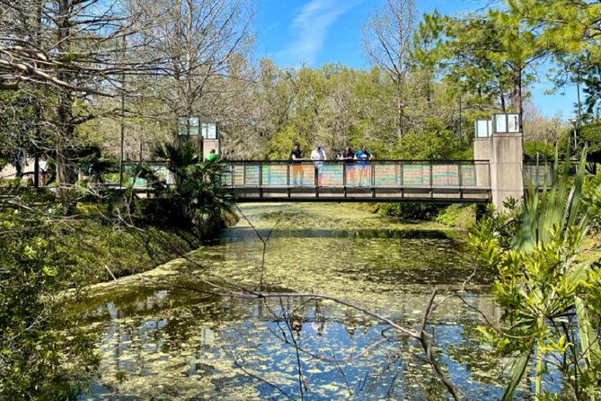 Private New Orleans Historical Sightseeing Tour - Discovering the Besthoff Sculpture Garden