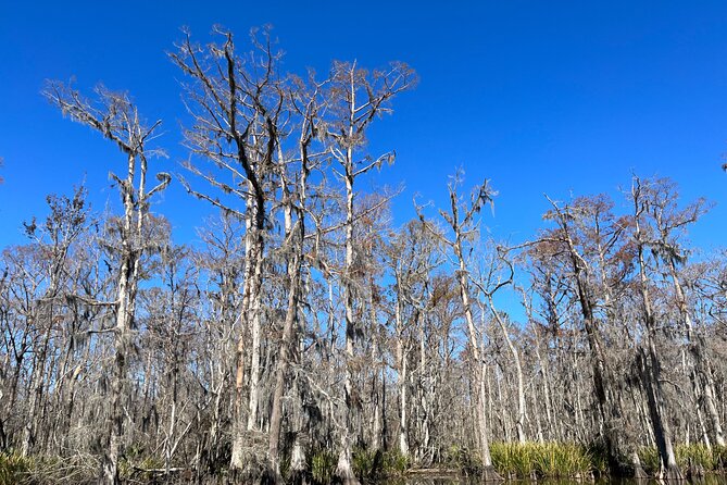Private New Orleans Neighborhood Food Tour - Historic Driving "Dine-Around" - Insider Knowledge