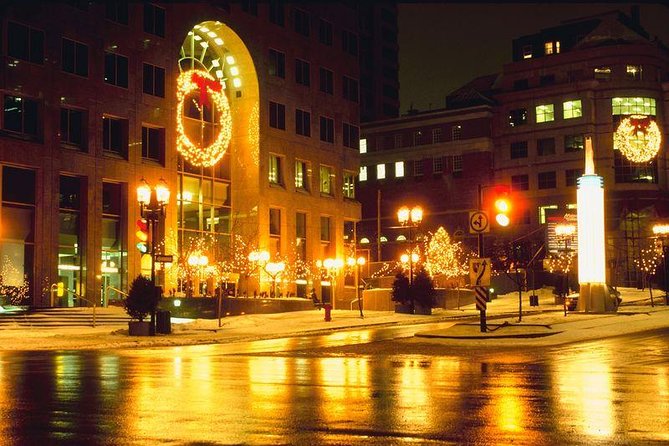 Private New York Christmas Tour With Driver and Guide - Pricing and Booking Details