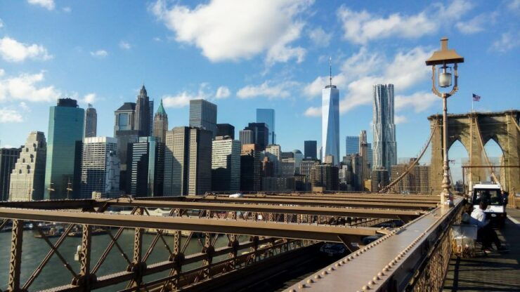 Private New York City Tour by Night With Local Guide - Activity Details