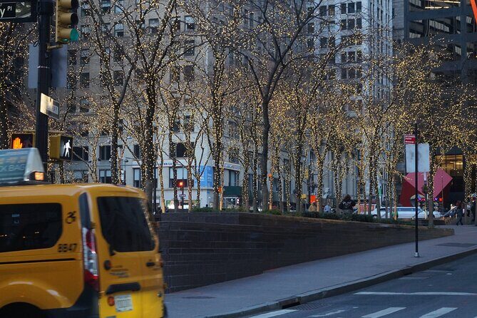 Private New York Downtown Highlights Half Day Tour - Good To Know