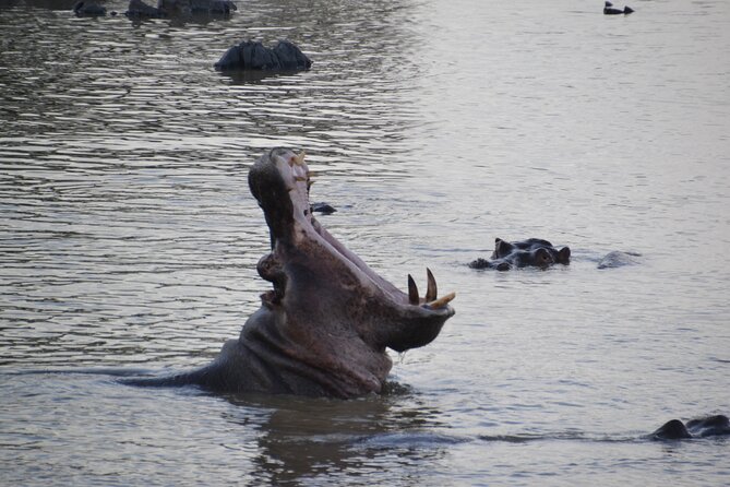 Private Ngorongoro and Tarangire 3-Day Safari From Zanzibar - Price and Guarantee