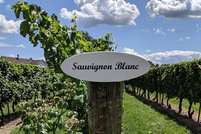 Private Niagara on the Lake Wine Tour with Dinner - Practical Details and What You Should Know