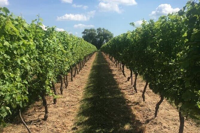 Private Niagara on the Lake Wine Tour with Dinner - FAQ