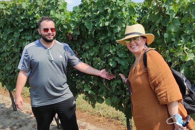 Private Niagara Wine Tour with Cheese and Charcuterie - Who Should Consider This Tour?