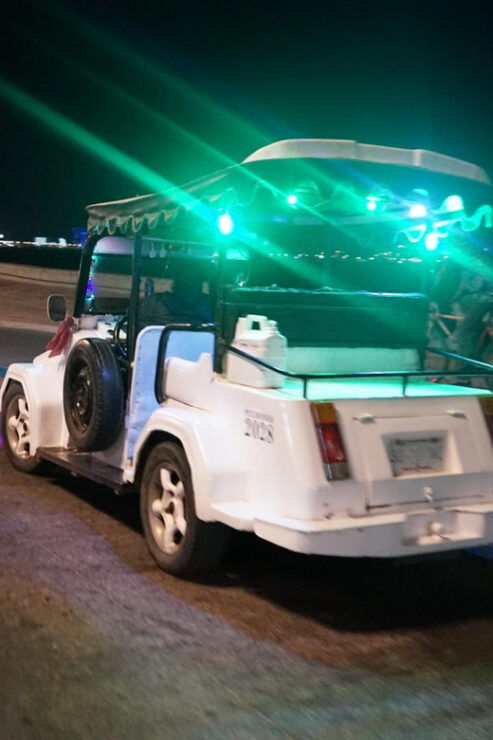 Private Night Adventure in Mazatlan - Tour Experience