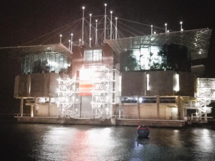 Private Night Tour, Authentic Fado Show & Portuguese Dinner - Tour Description