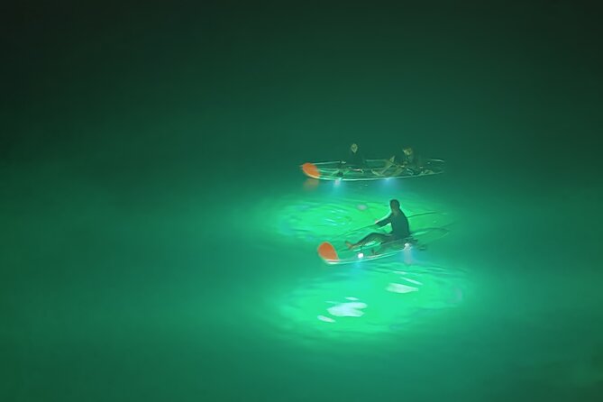 Private Night Tour in Blue Cave on a Clear-Bottom Kayak - Good To Know
