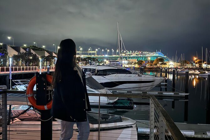 Private Night Tour of Auckland, Sky Tower Bar, Bridge & Museum - Who Will Love This Tour?