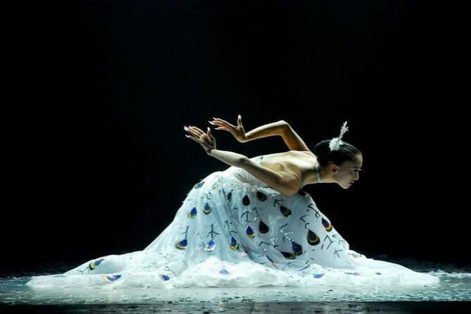 Private Night Tour to Enjoy Dynamic Yunnan Show - The Experience: What You Can Expect