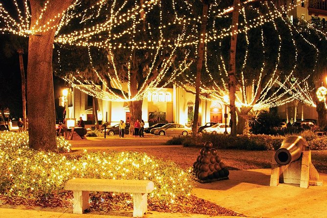 Private Nights Of Lights Tour- City Gates Departure - Pricing and Customer Experience