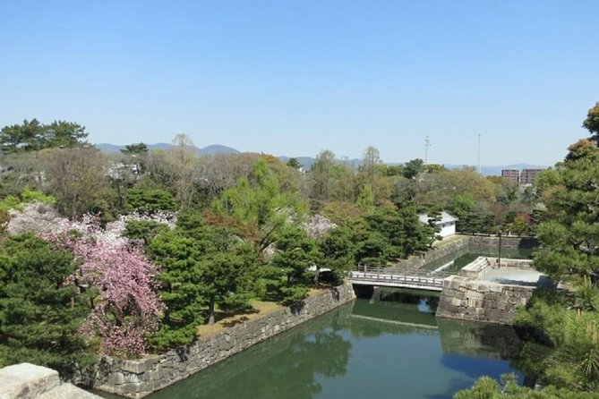 Private Nijo Castle Sightseeing and Nishiki Food Tour - Private Tour Guide