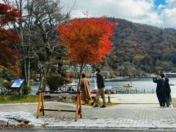 Private Nikko Adventure - Customer Testimonials