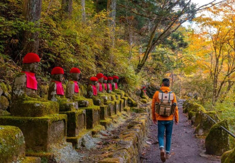 Private Nikko Day Trip from Tokyo UNESCO Shrines & Nature - Introduction: Why Choose a Private Nikkō Day Trip?