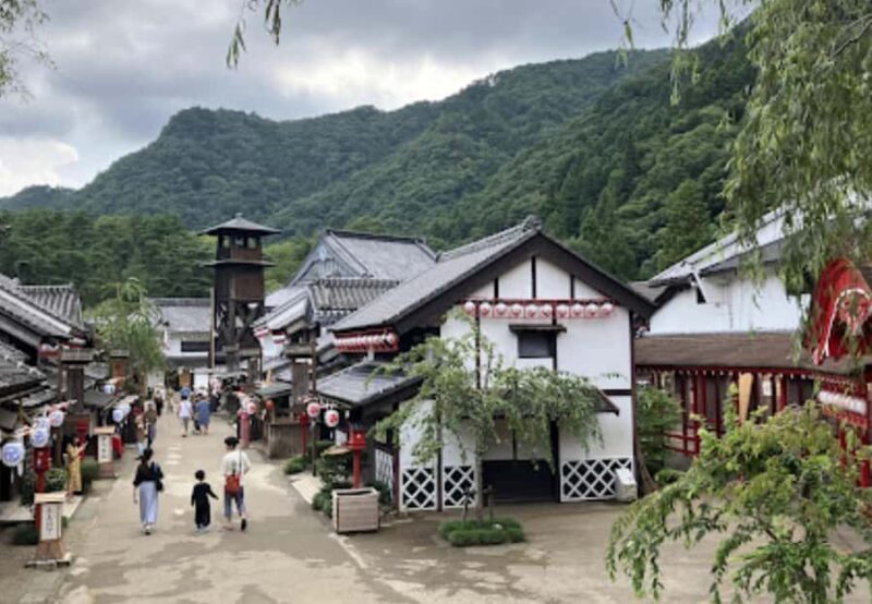 Private Nikko Day Trip from Tokyo UNESCO Shrines & Nature - Who This Tour Is Best For
