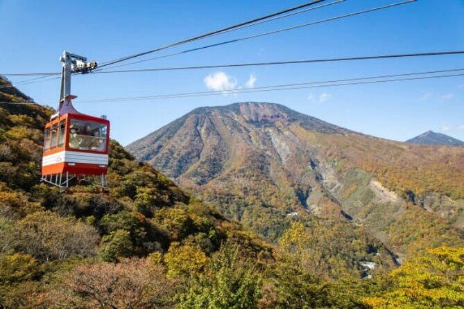 Private Nikko Tour with Hotel Pickup - Who Will Love This Tour?