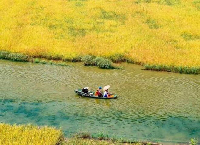 Private Ninh Binh Luxury Day Trip: Tam Coc, Mua Cave,Cycling - Transportation and Guide