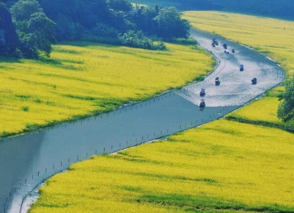 Private Ninh Binh Luxury Day Trip: Tam Coc, Mua Cave,Cycling - Tips for a Great Experience