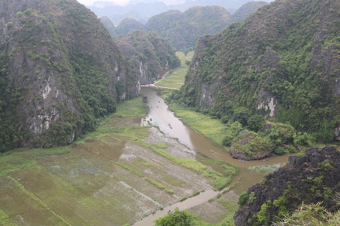 Private Ninh Binh - Mua Cave - Trang An - Bich Dong Full Day Tour - Traveler Reviews