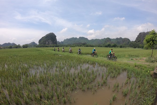 Private Ninh Binh - Mua Cave - Trang An - Bich Dong Full Day Tour - Pricing Details