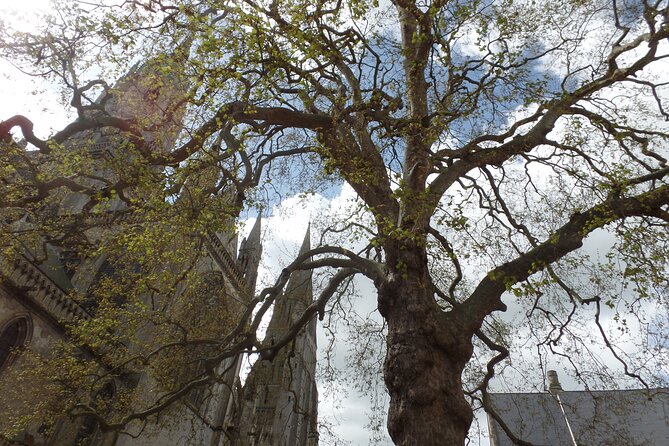 Private Normandy Tour of Bayeux, Gold Beach & Atlantic Wall - Lunch at a Local Restaurant
