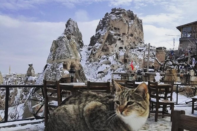 Private, North Cappadocia Day Tour - Goreme Open Air Museum - Reviews