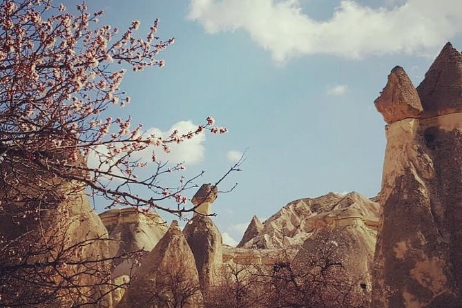 Private, North Cappadocia Day Tour - Goreme Open Air Museum - Review Verification