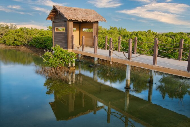 Private North of Qatar: Zubara Fort Jumail Village Al-Thakhira Mangroves - Jumail Village: A Quaint Coastal Retreat