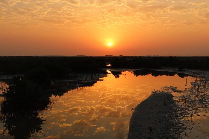 Private North of Qatar: Zubara Fort Jumail Village Al-Thakhira Mangroves - Al-Thakhira Mangroves: Exploring Natures Oasis